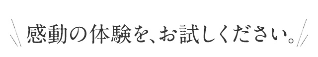 感動の体験をお試しください