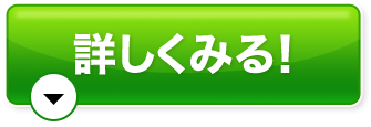 詳しく見る