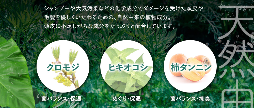 天然由来植物の力。クロモジ、ヒキオコシ、柿タンニン