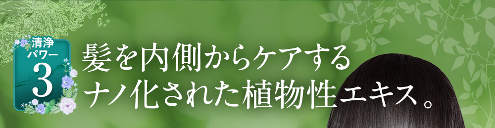 髪を内側からケアするナノ化された植物性エキス。