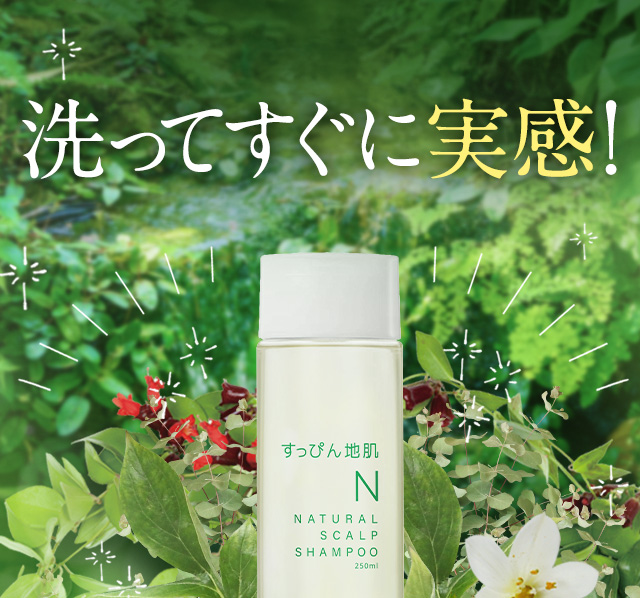 すっぴん地肌N NATURAL SCALP SHAMPOO 250ml 5本 Amazon | すっぴん地肌ナチュラルスカルプシャンプー「頭皮のかゆみ